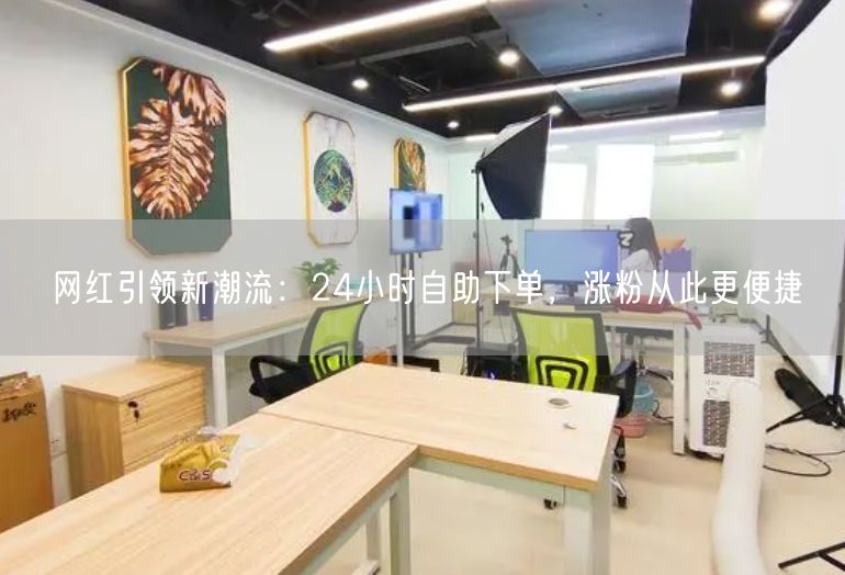 网红引领新潮流：24小时自助下单，涨粉从此更便捷